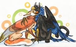 Size: 1000x623 | Tagged: safe, artist:chickenzaur, oc, oc only, oc:solena (solena), bird, feline, fictional species, gryphon, mammal, feral, beak, cuddling, duo, feathered wings, feathers, female, holding, holding hands, hug, male, male/female, shipping, spread wings, wings