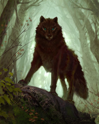 Size: 799x999 | Tagged: safe, artist:aarondraws, canine, mammal, wolf, feral, lifelike feral, ambiguous gender, autumn, black fur, cheek fluff, digital art, fluff, forest, front view, fur, leaf, looking at you, low angle, moss, mushroom, non-sapient, paws, realistic, rock, solo, solo ambiguous, standing, tail, teal eyes