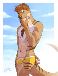 Size: 804x1054 | Tagged: suggestive, artist:feralise, mammal, marsupial, thylacine, anthro, 2015, abs, athletic, athletic anthro, athletic male, biceps, briefs, bulge, chest fluff, chest hair, claws, clothes, cloud, fluff, looking at you, male, muscles, outdoors, partial nudity, pecs, simple background, smiling, solo, solo male, stripes, tail, topless, underwear, yellow eyes