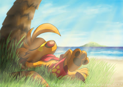 Size: 900x636 | Tagged: safe, artist:tarri, ty the tasmanian tiger (character), mammal, marsupial, thylacine, semi-anthro, ty the tasmanian tiger (series), beach, boomerang, bottomwear, clothes, detailed background, eyes closed, gloves, grass, lying down, male, outdoors, paws, relaxing, scarf, seaside, shorts, solo, solo male, sunbathing, tail, tree