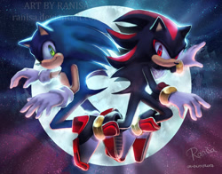 Size: 1150x900 | Tagged: safe, artist:ranisa, shadow the hedgehog (sonic), sonic the hedgehog (sonic), hedgehog, mammal, anthro, sega, sonic adventure 2, sonic the hedgehog (series), 2017, black fur, black tail, blue fur, blue tail, clothes, digital art, duo, duo male, featureless chest, featureless crotch, fur, gloves, green eyes, male, males only, moon, night, night sky, quills, red eyes, shoes, short tail, sky, sneakers, tail