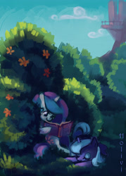 Size: 2874x4023 | Tagged: safe, artist:holivi, princess celestia (mlp), princess luna (mlp), alicorn, equine, fictional species, mammal, pony, feral, friendship is magic, hasbro, my little pony, 2012, book, bush, castle, cloud, duo, duo female, eyes closed, feathered wings, feathers, female, filly, foal, folded wings, grass, ground, high res, holding, holding book, holding object, horn, lying down, prone, reading, smiling, solo, solo female, tail, wings, young