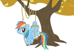Size: 1280x858 | Tagged: safe, artist:midnite99, rainbow dash (mlp), equine, fictional species, mammal, pegasus, pony, feral, friendship is magic, hasbro, my little pony, female, hogtied, on model, rope, simple background, solo, solo female, suspended, tied up, transparent background, tree, vector