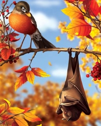 Size: 850x1063 | Tagged: safe, artist:alyssaveysey, bat, bird, mammal, robin, songbird, feral, lifelike feral, ambiguous gender, autumn, bat wings, brown fur, duo, feathers, food, fruit, fur, leaf, non-sapient, orange feathers, realistic, signature, tail, tail feathers, tree branch, webbed wings, wings