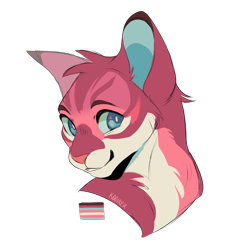 Size: 2048x2048 | Tagged: safe, artist:k00iker, part of a set, nameless oc, oc, oc only, cat, feline, mammal, feral, warrior cats, 2020, ambiguous gender, blue eyes, flag, fluff, high res, pride flag, simple background, solo, solo ambiguous, transgender, transgender pride flag, transparent background