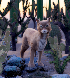 Size: 2160x2400 | Tagged: safe, artist:gabe2252, bobcat, feline, lynx, mammal, feral, lifelike feral, blender cycles, high res, looking at you, non-sapient, paws, realistic, solo