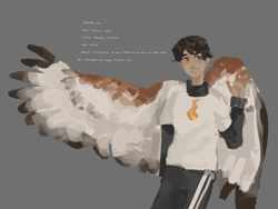 Size: 2048x1536 | Tagged: safe, artist:dr3am-t3am, part of a set, animal humanoid, bird, bird of prey, fictional species, hawk, mammal, red tailed hawk, humanoid, minecraft, sapnap (youtuber), youtube, crossed arms, dream team, feathers, gray background, male, simple background, skin, solo, solo male, species swap, tan skin, winged humanoid, wings