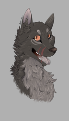 Size: 1408x2440 | Tagged: safe, artist:intfighter, oc, oc only, canine, mammal, wolf, feral, 2015, ambiguous gender, chest fluff, ear fluff, fluff, gray background, open mouth, simple background, solo, solo ambiguous, tongue, tongue out