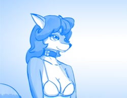 Size: 680x525 | Tagged: safe, artist:warskunk, oc, oc only, canine, mammal, anthro, blue background, bra, clothes, collar, female, simple background, solo, solo female, tail, underwear