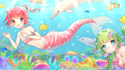 Size: 2732x1536 | Tagged: safe, artist:lizzharth, aiko (osu!), mocha (osu!), blue tang, cetacean, clownfish, dolphin, fictional species, fish, mammal, mermaid, humanoid, osu!, ambient wildlife, coral, coral reef, cute, duo, duo female, female, fins, fish tail, green eyes, green hair, hair, light skin, red eyes, red hair, species swap, tail, underwater, water