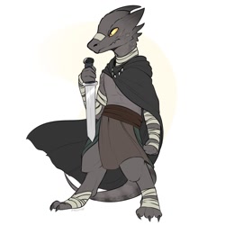 Size: 1280x1280 | Tagged: safe, artist:freshdf, fictional species, kobold, reptile, anthro, cloak, male, short sword, solo, solo male, tail