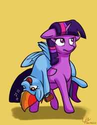 Size: 1316x1687 | Tagged: safe, artist:cyonixcymatro, rainbow dash (mlp), twilight sparkle (mlp), alicorn, equine, fictional species, mammal, pegasus, pony, feral, friendship is magic, hasbro, my little pony, 2020, annoyed, atg 2020, duo, duo female, feathered wings, feathers, female, folded wings, hair, horn, mane, mare, newbie artist training grounds, rainbow hair, rainbow mane, rainbow tail, tail, wings