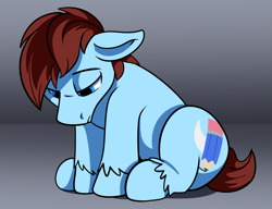 Size: 1805x1388 | Tagged: safe, artist:swiftsketch, oc, oc only, oc:swift sketch, earth pony, equine, fictional species, mammal, pony, feral, friendship is magic, hasbro, my little pony, male, sad, sitting, solo, solo male, stallion, tail