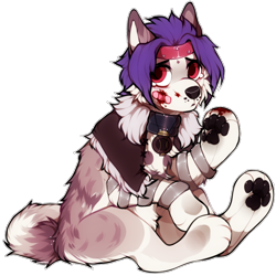 Size: 700x700 | Tagged: safe, artist:kikonoeii, oc, oc only, canine, mammal, wolf, feral, ambiguous gender, bandage, blood, fur, looking at you, paw pads, paws, simple background, solo, solo ambiguous, tail, transparent background