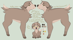 Size: 1416x772 | Tagged: safe, artist:pupset, oc, oc only, oc:tau (pupset), canine, dog, mammal, feral, ambiguous gender, fur, green background, reference sheet, simple background, solo, solo ambiguous, tail