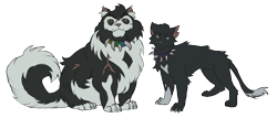 Size: 3588x1536 | Tagged: safe, artist:olimpek312, bone (warrior cats), scourge (warrior cats), cat, feline, mammal, feral, warrior cats, black fur, blue eyes, claws, collar, duo, duo male, fur, looking at you, male, males only, scar, simple background, size difference, spiked collar, transparent background, white fur