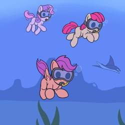 Size: 1000x1000 | Tagged: safe, artist:redquoz, apple bloom (mlp), scootaloo (mlp), sweetie belle (mlp), earth pony, equine, fictional species, mammal, manta ray, pegasus, pony, unicorn, feral, friendship is magic, hasbro, my little pony, 2015, bubbles, cutie mark crusaders (mlp), dot eyes, female, filly, foal, goggles, looking at something, looking at you, ocean, seaweed, swimming, underwater, water, young