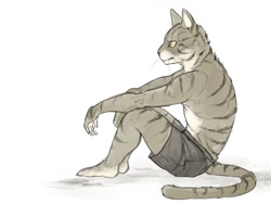 Size: 1024x768 | Tagged: safe, artist:x6udpngx, cat, feline, mammal, anthro, plantigrade anthro, 2015, bottomwear, clothes, digital art, fluff, fur, looking forward, male, neck fluff, partial nudity, shorts, sitting, solo, solo male, tail, topless, whiskers, white fur, yellow eyes