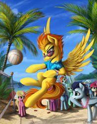 Size: 1800x2300 | Tagged: safe, artist:yakovlev-vad, berry punch (mlp), lily valley (mlp), minuette (mlp), rainbow dash (mlp), roseluck (mlp), soarin' (mlp), spitfire (mlp), trixie (mlp), arthropod, crab, crustacean, earth pony, equine, fictional species, mammal, pegasus, pony, unicorn, feral, friendship is magic, hasbro, my little pony, ball, beach, beach volleyball, clothes, female, glasses, male, mare, palm tree, scenery, stallion, sunglasses, tree, volleyball, volleyball net, water
