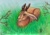 Size: 1280x904 | Tagged: safe, artist:lira-miraeta, fictional species, jackalope, lagomorph, mammal, feral, 2020, ambiguous gender, brown fur, fur, grass, horns, lying down, orange eyes, prone, realistic, signature, solo, solo ambiguous, traditional art