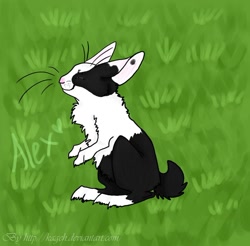 Size: 900x885 | Tagged: safe, artist:kageh, oc, oc only, oc:alex (atlanticgryphon), lagomorph, mammal, rabbit, feral, lifelike feral, 2011, black fur, chest fluff, digital art, eyes closed, fluff, fur, grass, male, non-sapient, paws, realistic, side view, signature, sitting, smiling, solo, solo male, whiskers, white fur