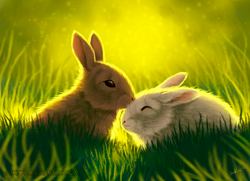 Size: 1000x724 | Tagged: safe, artist:suvikuu, lagomorph, mammal, rabbit, feral, lifelike feral, 2018, ambiguous gender, brown fur, digital art, duo, eyes closed, fluff, fur, grass, non-sapient, outdoors, realistic, side view, sitting, technical advanced, whiskers, white fur