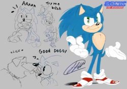Size: 1280x901 | Tagged: safe, artist:fnafmangl, ozzy (sonic), sonic the hedgehog (sonic), canine, dog, golden retriever, hedgehog, mammal, anthro, feral, sega, sonic the hedgehog (series), sonic the hedgehog movie, 2019, clothes, dialogue, gray background, headband, heart, licking, licking face, love heart, male, martial arts, non-sapient, nunchaku, quills, scene interpretation, signature, simple background, solo, solo male, swearing, talking, tongue, tongue out, vulgar, weapon