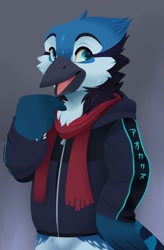 Size: 838x1280 | Tagged: safe, artist:feve, oc, oc only, oc:kazuyuki, bird, blue jay, corvid, jay, songbird, anthro, ambiguous gender, beak, blue eyes, blue feathers, bottomless, chest fluff, clothes, feathers, featureless crotch, fluff, front view, gray background, head fluff, jacket, neck fluff, nudity, open beak, open mouth, partial nudity, scarf, simple background, solo, solo ambiguous, standing, tail, tail feathers, three-quarter view, tongue, topwear, wing hands