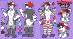 Size: 1280x686 | Tagged: safe, artist:muttasaur, oc, oc only, oc:timber (timberpuppers), canine, dog, mammal, anthro, plantigrade anthro, 2020, abstract background, arm warmers, belly button, blep, blushing, brown hair, bulge, butt, character name, cheek fluff, chest fluff, clothes, collar, color palette, digital art, featureless crotch, floppy ears, fluff, front view, fur, gray fur, hair, hand on hip, hat, leg warmers, legwear, male, one eye closed, paw pads, paws, pet tag, rear view, reference sheet, solo, solo male, standing, striped clothes, striped legwear, tail, thigh highs, three-quarter view, toeless legwear, tongue, tongue out, underwear, white fur, winking