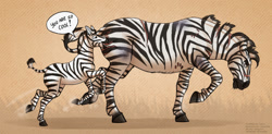Size: 1280x628 | Tagged: safe, artist:jenery, equine, mammal, zebra, feral, ambiguous gender, black fur, black hair, bruise, dialogue, duo, fur, hair, male, mane, not amused face, open mouth, pink body, raised leg, scar, side view, size difference, skin, striped fur, tail, talking, white fur, white hair, young