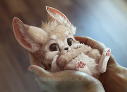 Size: 600x437 | Tagged: safe, artist:silverfox5213, canine, fennec fox, fox, human, mammal, feral, ambiguous gender, brown eyes, cheek fluff, chibi, digital art, duo, ear fluff, fluff, fur, head fluff, irl, lying down, mixed media, offscreen character, on back, paw pads, paws, photo, signature, solo focus, tan fur, underpaw, whiskers, white fur