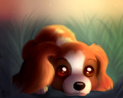 Size: 1280x1024 | Tagged: safe, artist:zobaloba, canine, dog, mammal, spaniel, feral, ambiguous gender, cute, digital art, digital painting, fur, pet tag, solo, solo ambiguous