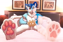 Size: 2048x1365 | Tagged: safe, artist:fursuitsbylacy, artist:reddog0701, oc, oc only, oc:fluke (flukehusky), canine, dog, husky, mammal, anthro, plantigrade anthro, bed, blue fur, blue hair, cheek fluff, complete nudity, crown, draw over, ear fluff, fluff, fullsuit, fur, fursuit, hair, irl, jewelry, male, neck fluff, nudity, on bed, open mouth, paw pads, paws, photo, picture, pubic fluff, regalia, sitting, solo, solo male, spread legs, tail, tail fluff, tongue, underpaw, white fur, yellow eyes