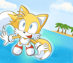 Size: 759x657 | Tagged: safe, artist:domestic-hedgehog, miles "tails" prower (sonic), canine, fox, mammal, red fox, anthro, sega, sonic the hedgehog (series), 2012, artwork, beach, boots, clothes, dipstick tail, fluff, flying, male, multiple tails, ocean, orange tail, palm, shoes, smiling, sneakers, solo, solo male, tail, tail fluff, two tails, water, white tail