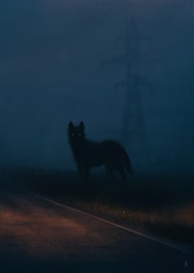 Size: 1280x1795 | Tagged: safe, artist:dappermouth_art, canine, mammal, feral, ambiguous gender, fog, road, scenery, solo, solo ambiguous