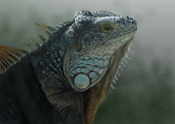 Size: 1052x744 | Tagged: safe, artist:keiryu, oc, oc only, iguana, lizard, reptile, feral, lifelike feral, 2009, ambiguous gender, bust, non-sapient, photorealism, realistic, solo, solo ambiguous