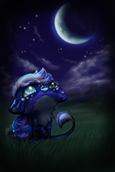 Size: 400x600 | Tagged: safe, artist:berk-shire, oc, oc only, oc:aang, canine, feline, fictional species, hybrid, mammal, feral, 2013, chibi, cloud, commission, crescent moon, grass, kiamara, looking up, male, moon, night, solo, solo male, tail