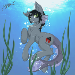 Size: 2000x2000 | Tagged: safe, artist:miscellanea_apgk, equine, fictional species, fish, half-siren, hybrid, mammal, pony, feral, friendship is magic, hasbro, kellin quinn, my little pony, sleeping with sirens, 2020, brown hair, brown mane, bubble, commission, curved horn, digital art, fangs, feralized, fins, fish tail, furrified, gray scales, green eyes, hair, happy, high res, hooves, horn, jewelry, male, mane, necklace, ponified, scales, sharp teeth, slit pupils, solo, solo male, swimming, tail, teeth, underwater, water, ych result