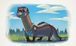Size: 1280x776 | Tagged: safe, artist:mylafox, oc, oc:eddy (tubeboiieddy), black-footed ferret, ferret, mammal, mustelid, feral, 2020, bandanna, blep, blue eyes, blue fur, brown fur, claws, clothes, cloud, colored sclera, derp, fluff, fur, gray body, gray fur, head fluff, long neck, male, neck fluff, outdoors, paws, signature, solo, solo male, tail, tan fur, tongue, tongue out, tube, whiskers, yellow sclera