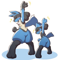 Size: 1500x1500 | Tagged: safe, artist:acky05_wolf, fictional species, lucario, riolu, semi-anthro, nintendo, pokémon, 2020, ambiguous gender, duo, eyes closed, posing, simple background