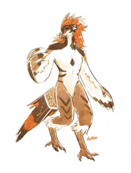 Size: 973x1280 | Tagged: safe, artist:hootles, bird, fictional species, rito, anthro, nintendo, the legend of zelda, beak, claws, eyes closed, feathered wings, feathers, male, solo, solo male, tail, tail feathers, wing hands, wings