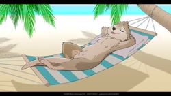 Size: 1280x720 | Tagged: suggestive, artist:letodoesart, oc, oc only, oc:danzer (danzerott), mammal, mustelid, otter, anthro, 16:9, 2020, animal genitalia, arms behind head, balls, beach, blep, chest fluff, claws, cute, digital art, eyes closed, fluff, hammock, lying down, male, nudity, ocean, on back, outdoors, palm tree, paws, pillow, resting, sheath, sheathed, solo, solo male, tail, tongue, tongue out, tree, water