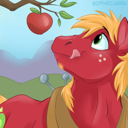 Size: 700x700 | Tagged: safe, artist:spain fischer, big macintosh (mlp), earth pony, equine, fictional species, mammal, pony, feral, friendship is magic, hasbro, my little pony, apple, apple tree, eyes on the prize, farmer, food, fruit, fur, herbivore, male, plant, red fur, solo, solo male, stallion, tongue, tongue out, tree