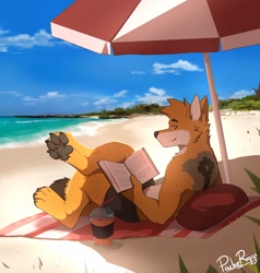 Size: 2000x2100 | Tagged: safe, artist:pache_riggs, oc, oc only, oc:atoq (juanatoq), canine, culpeo fox, fox, mammal, anthro, digitigrade anthro, 2020, beach, book, brown fur, cheek fluff, claws, clothes, cloud, cup, digital art, drink, fluff, fur, hand hold, head fluff, high res, holding, looking at you, male, orange fur, partial nudity, paw pads, paws, profile, sand, shadow, side view, signature, solo, solo male, straw, tail, topless, towel, umbrella, underpaw, underwear, water, white fur