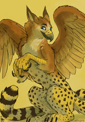 Size: 650x934 | Tagged: safe, artist:oce, oc, oc only, oc:fynath, bird, bird of prey, cheetah, feline, ferruginous hawk, fictional species, gryphon, hawk, mammal, feral, 2013, beak, bird feet, blue eyes, brown feathers, cheek fluff, chest fluff, claws, digital art, ears, feathered wings, feathers, fluff, front view, fur, looking at you, male, paws, signature, sitting, solo, solo male, spotted fur, spread wings, tail, talons, tan fur, three-quarter view, wings, yellow body, yellow fur