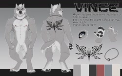 Size: 1280x797 | Tagged: safe, artist:enro, oc, oc only, oc:vince (kprime), canine, mammal, wolf, anthro, digitigrade anthro, 2020, accessories, areola, butt, chain, cheek fluff, claws, close-up, color palette, digital art, disembodied hand, featureless crotch, fluff, front view, fur, gray fur, head fluff, jewelry, male, muscles, neck fluff, necklace, paw pads, paws, rear view, reference sheet, solo, solo male, tail, tattoo