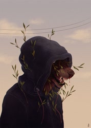Size: 1100x1545 | Tagged: safe, artist:dappermouth_art, canine, mammal, anthro, ambiguous gender, blood, clothes, hoodie, plant, solo, solo ambiguous, topwear
