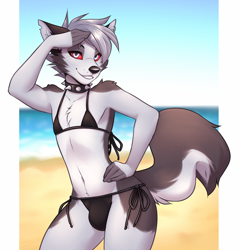 Size: 1072x1110 | Tagged: suggestive, artist:lockworkorange, loona (vivzmind), canine, demon, fictional species, hellhound, mammal, anthro, hazbin hotel, helluva boss, beach, belly button, bikini, bikini bottom, bikini top, black ears, black nose, blurred background, border, bulge, chest fluff, clothes, collar, colored sclera, crossdressing, ear piercing, ears, femboy, fingerless (marking), fluff, front view, fur, gray body, gray fur, gray hair, hair, hand on hip, looking at you, male, multicolored body, multicolored fur, outdoors, piercing, red sclera, rule 63, seaside, silver hair, smiling, solo, solo male, spiked collar, spikes, swimsuit, tail, teeth, torn ear, two toned body, two toned fur, two toned tail, white body, white border, white eyes, white fur