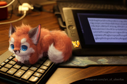 Size: 800x533 | Tagged: safe, artist:silverfox5213, oc, oc only, oc:silver (silverfox5213), canine, fox, mammal, feral, blue eyes, colored pupils, drawing tablet, fluff, keyboard, loafing, lying down, photo background, prone