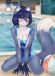 Size: 916x1280 | Tagged: safe, artist:sadcranberry, oc, oc only, canine, mammal, wolf, anthro, cc by-nc, creative commons, ball, beach ball, blue eyes, blue hair, blurred background, blushing, breasts, claws, cleavage, clothes, commission, ear fluff, female, fluff, fur, gray body, gray fur, hair, hands, illustration, kneeling, looking at you, pool, shoulder fluff, solo, solo female, summer, swimsuit, tail, water, wet, wet fur, white body, white fur